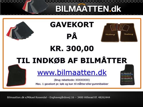 Gavekort på kr. 300,00